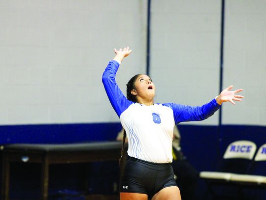 Ariana Palacios prepares to serve during a home game this season. Citizen | Trenton Whiting