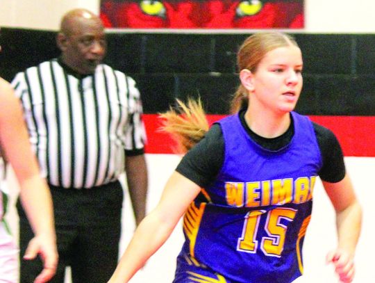 LADYCAT NOMINATED FOR ALL-STATE TEAM