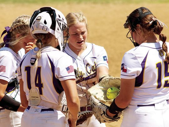 Ladycat softball climbs up to second in district standings