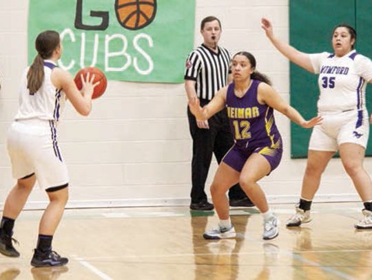 Ladycats All-District team selections