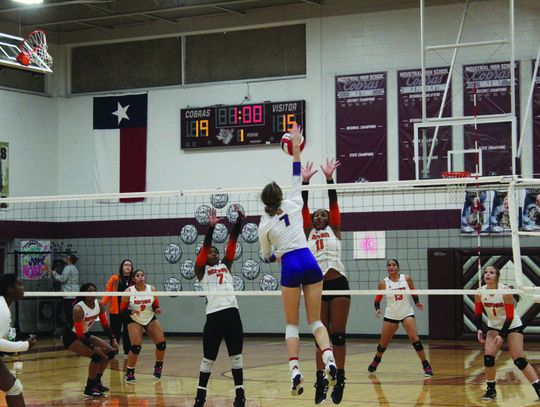 Ladycats are Bi-District champs