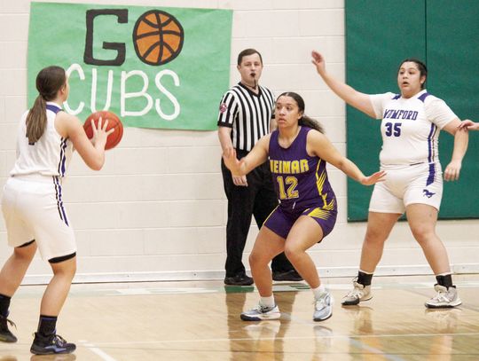 Ladycats basketball starts 1-1