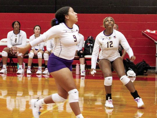 Ladycats beats Shiner in four sets