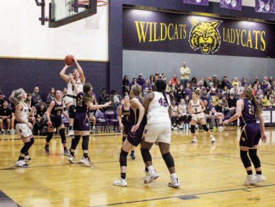 Ladycats best Bloomington, fall short to Shiner