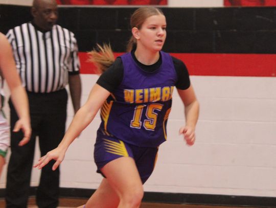 Ladycats bounce back into the win column