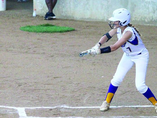 Ladycats come up short but bounce back