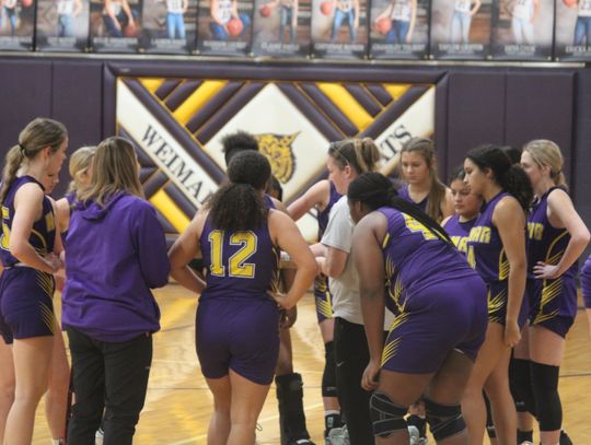 Ladycats defeat the Lady Eagles