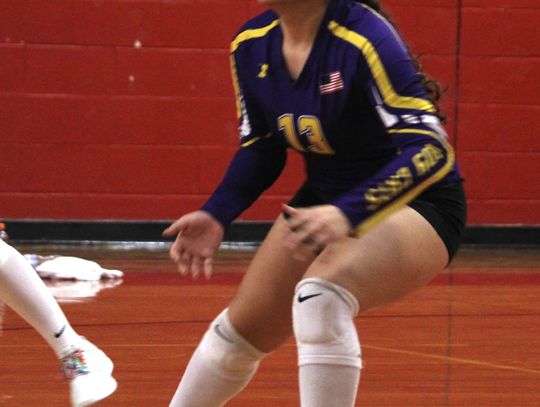 Ladycats district winning streak grows to seven games