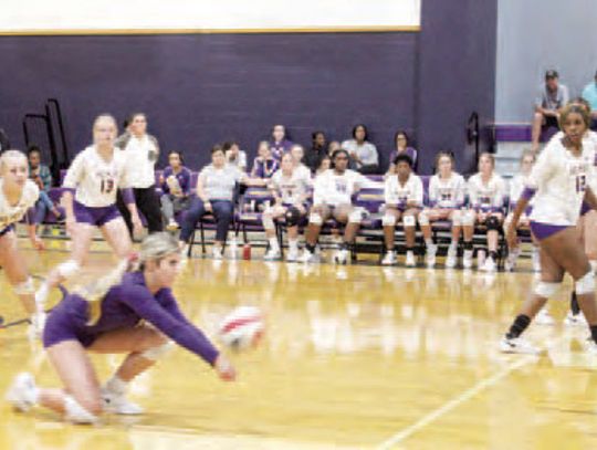 Ladycats drop back-to-back district games