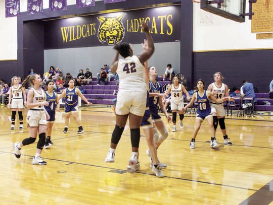 Ladycats drop game against Ganado