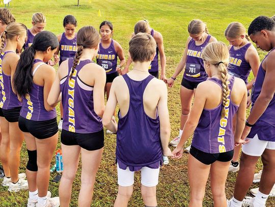 Ladycats earn fourth place at Van Vleck meet