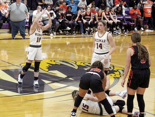 Ladycats fall Tuesday night, bounce back on Friday