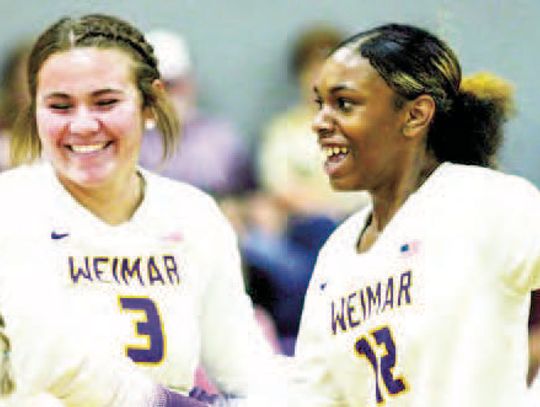 Ladycats look to keep postseason streak alive