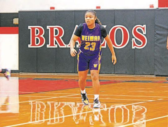 Ladycats on the prowl for the 2025 season