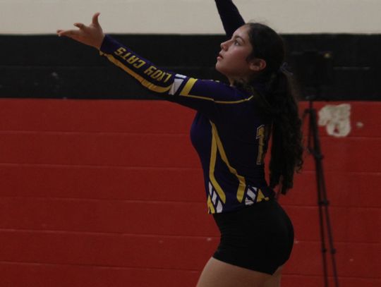 Ladycats pick up a win and a loss over last two games