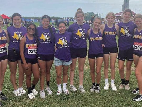 Ladycats Regional meet results