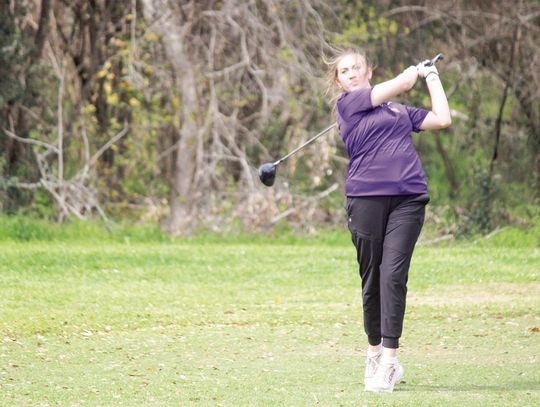 Ladycats results from golf tournament