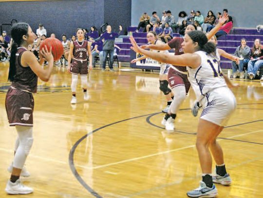 Ladycats start season off with a win