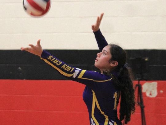 Ladycats sweep Louise