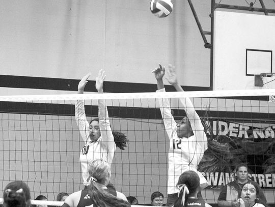 Ladycats sweep Sacred Heart