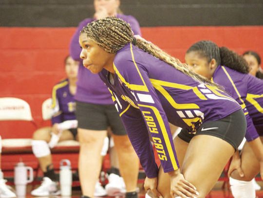 Ladycats take down Schulenburg in four sets