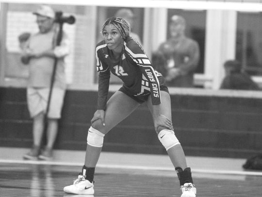 Ladycats volleyball preview