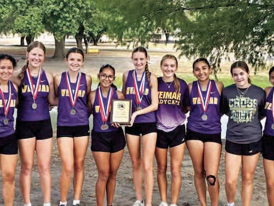 LADYCATS WIN BACK-TO-BACK DISTRICT CHAMPIONSHIP