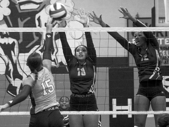 Ladycats win six games in a row