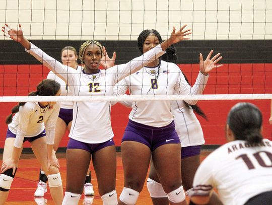 Ladycats win two games in six sets