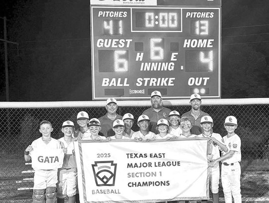 Major baseball team heading to State