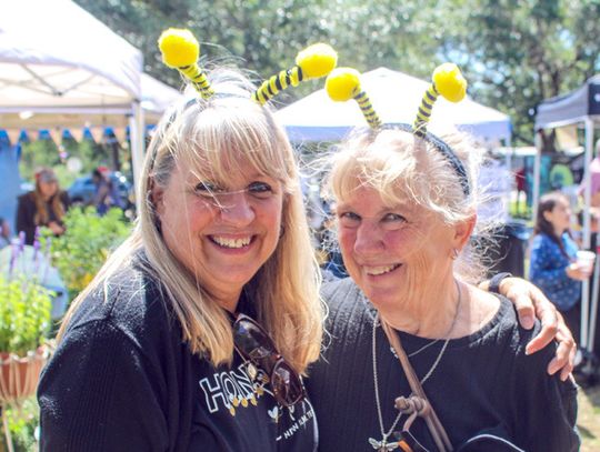 New Ulm buzzes with life and love of bees