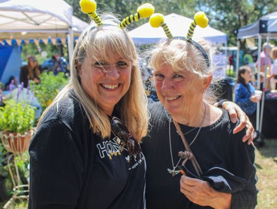New Ulm buzzes with life and love of bees