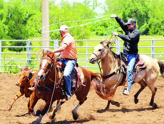 Over 100 teams participate in Ragin Cajun Team Roping