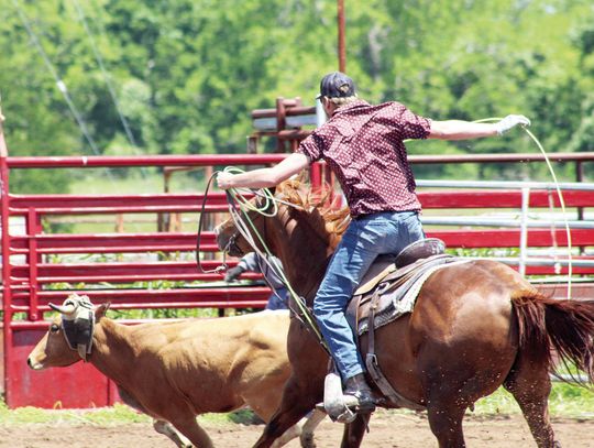 RAGIN CAJUN TEAM ROPING