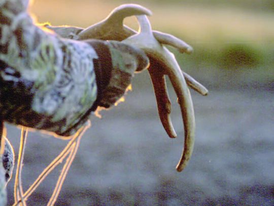 Rattling isn’t confined to snakes