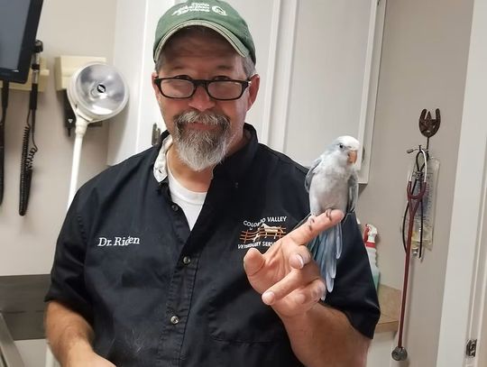 Recently resigned Columbus councilmember reflects on seven years