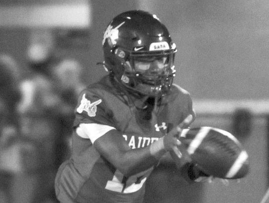 RICE RAIDERS