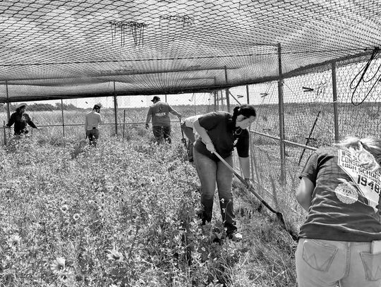 RICE STUDENTS LEND HELPING HANDS