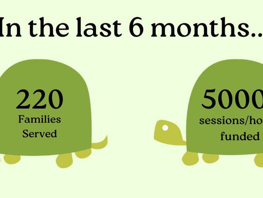 Six months into Turtle Wings 15th year