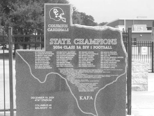 STATE CHAMPION CARDINALS IMMORTALIZED