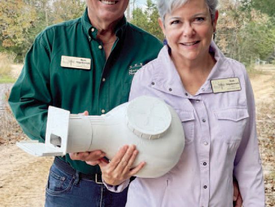 Take wing with purple-martin talk at library