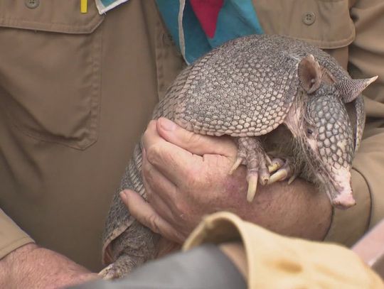 Texas animals forecast an end to winter on Groundhog Dog
