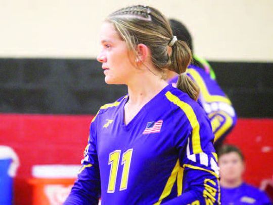 The future of Ladycats volleyball