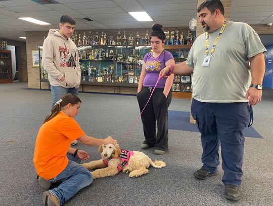 Therapy dog ‘Working 9 to 5’ at Rice HS