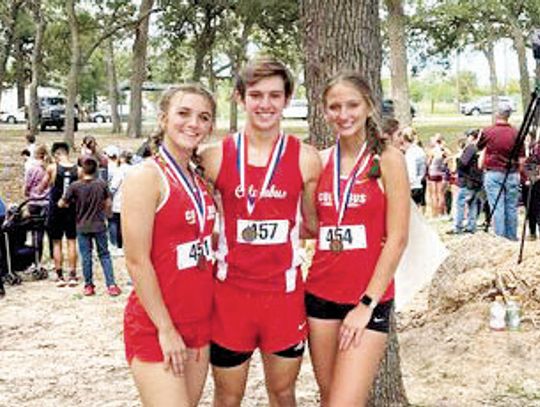 Three Cardinals heading to the regional cross-country meet