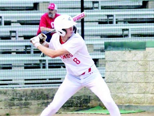 Three Cardinals named to Academic All-State