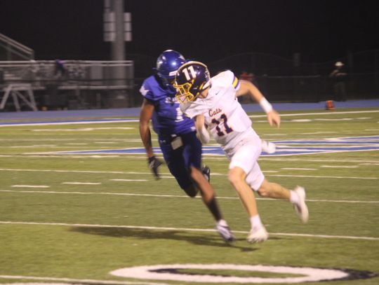 Three Wildcats make the All-District team