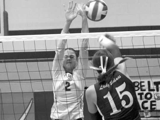 Three wins in a row for the Ladycats