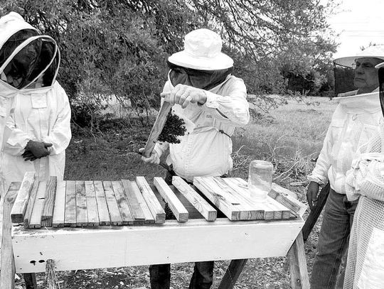 Top Bar beekeeping class