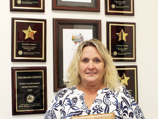 Treasurer wins 7th consecutive award for county